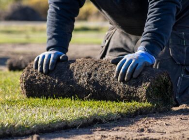 Rolgras als directe groene oplossing: waarom het in Nederland steeds populairder wordt