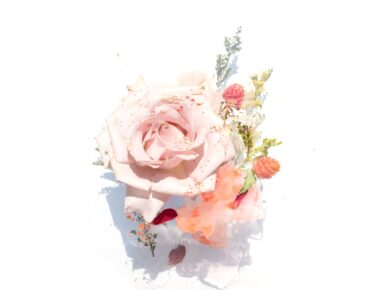 De juiste aanpak voor hemelse bamboe snoeien: zo houd je deze sierplant mooi