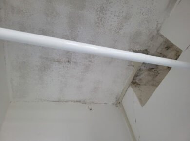 Zwarte schimmel verwijderen voor een gezond huis