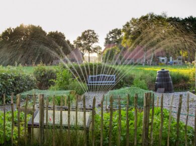 Efficiënt waterbeheer in uw tuin